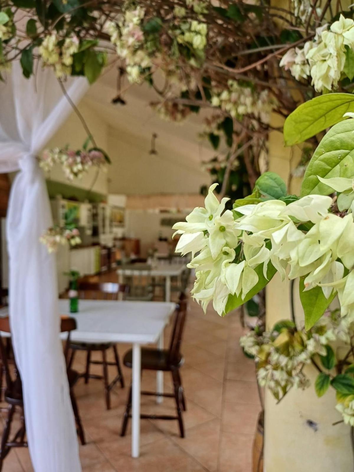 Bed and Breakfast Chacara Rosa Cortiana São Gabriel Exterior foto